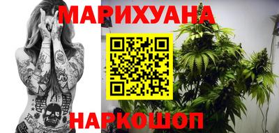 тгк Гай