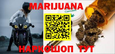 тгк Гай