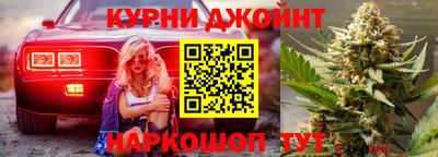 тгк Гай