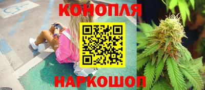 соль ск Гатчина