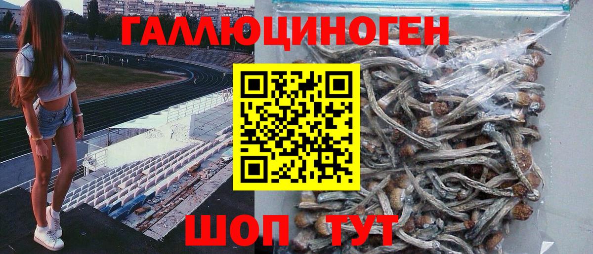 Псилоцибиновые грибы ЛСД  Вход с VPN  где найти   Нерюнгри 