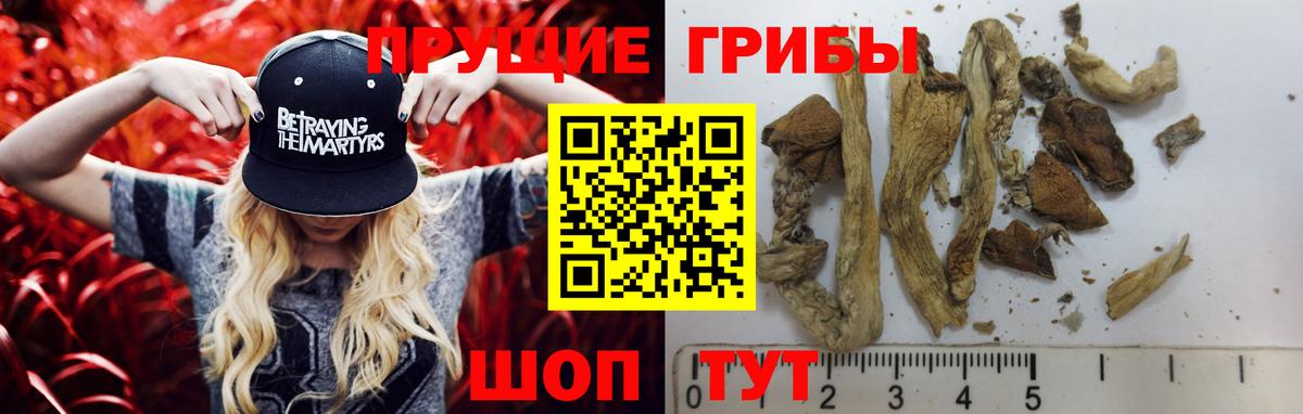 Псилоцибиновые грибы MAGIC MUSHROOMS Нерюнгри